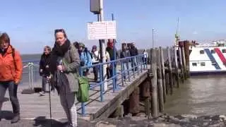 Besuch auf der Hallig Hooge