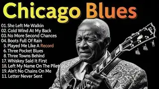 Relaxing Chicago Blues | B.B. King Inspiration Guitar Sound