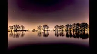 Georges Delerue - Stellaire 1