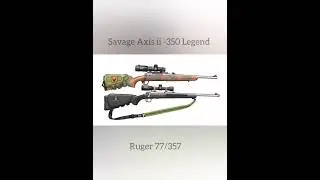 Savage Axis ii - 350 Legend ( Winchester 180 grain )