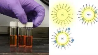 Emily Weiss, Northwestern University: The Chemistry & Photophysics of Nanoscopic Interfaces (2016)