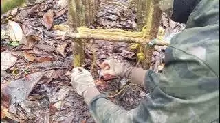 Trampa de Supervivencia Universal: Adaptable para Todo Tipo de Animales Silvestres