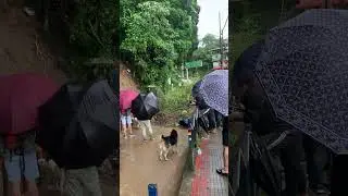 Darjeeling Landslide 2025 🌧️ | Massive Rainfall & Road Block Update 🚨#shorts