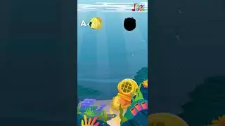 JJK | Sea Creatures | Match the Sea Animal
