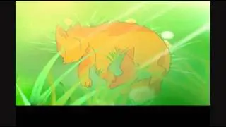 SSS Warrior cats intro - English