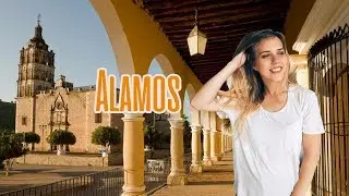 ЧТО Я ЗАБЫЛА В АЛАМОСЕ? ВИНО? | FIRST PUEBLO MAGICO ALAMOS | SONORA, MEXICO