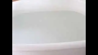 wind driven waves