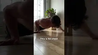 Different push ups #calisthenics #fitness #pushups #variations