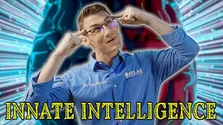 The Power Within: The Vital Force in Chiropractic Revealed!
