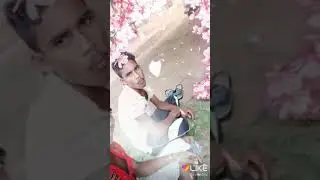 Jakeda patty jangal