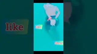 Pakistan Navy Training #shorts #viralshorts  @Shahidmasoom1 #paknavy