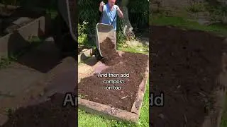 The no-dig gardening technique. Do this instead of digging over your garden #nodig #nodiggardening
