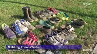 Gebändigt: Der Tiertrainer Alexander Lacey | 04.09.2018