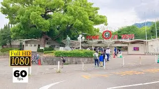 JAPAN TRAVEL | Kobe Oji Zoo | Kobe's famous zoo (Part 1)