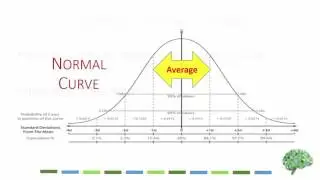 Interpreting Anxiety Data in the CPA Baseline Report