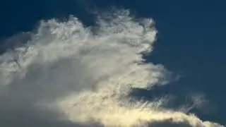 iris (Adam AG -- Audio)
