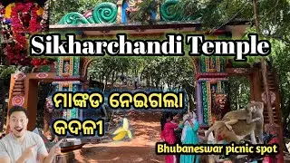 Sikharchandi Temple || Bhubaneswar picnic spot || ମାଙ୍କଡ ନେଇଗଲା କଦଳୀ 🍌