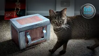 I made the Item Box from Resident Evil (for my cat)