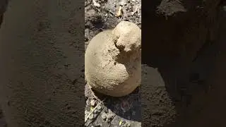 Bronun Republic Historian Paul Browning documents the History of the Nations Development of pottery