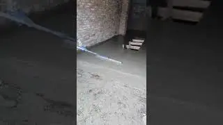 1 мая 2024 г.