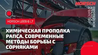 HORSCH Leeb 6 LT на химической прополке рапса.
