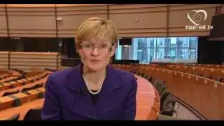 Parliamentary Committees Explained