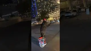 City lights ! #contentcreator #electricunicycle #euccommunity #lasvegas #euc #fullsend