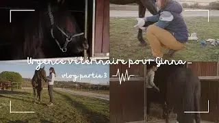 Urgence vétérinaire pour Ginna ... Vlog partie 3