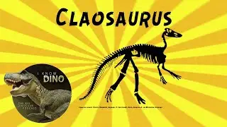 Claosaurus: Dinosaur of the Day