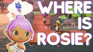 The Hunt for Rosie Continues | Animal Crossing New Horizons Villager Hunt