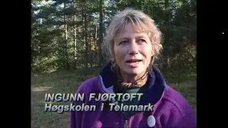 Natur og friluftsliv i barnehagen