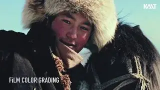 Highlight - Film Color Grading Using Curves