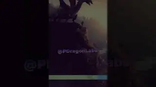 PDragon Labs Peak Season