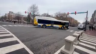 Wmata DC Metro, Fairfax Connector, and Alexandria Dash Bus Actions around Alexandria.