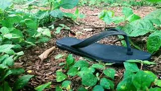Cheruppu