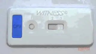 Kit de Diagnóstico WITNESS® Parvo para canes.