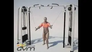 Gate / Chest training - pulling links of the upper lift (active-gym.com)