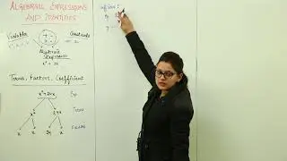 Best ICSE Free Lect l ALGEBRAIC EXPRESSIONS AND IDENTITIES l CLASS 8 | MATHS | CHAPTER 1 l L1