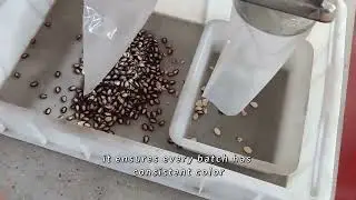Nut Color Sorter & Sorting Machine: High-Speed AI Vision for Peanuts, Almonds, Walnuts Grading