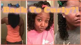The Reversion: Back To Curly After Beautiful Textures Flat Iron [Natural Hair]