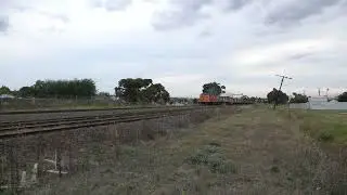CLF2 48s36 48s33 CLF4 with empty grain to NSW at Albion