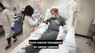 A Legacy of Groundbreaking Research at Bloodworks Northwest