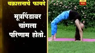 योग माझा : चक्रासनाचे फायदे