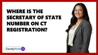 Where Is The Secretary Of State Number On CT Registration?