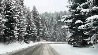 Bieszczady - śliski zjazd w śnieżycy. Droga Jabłonki - Cisna (DW893)