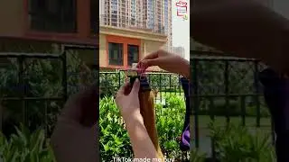 Rope With Clip For Drying & Hanging (3 Piece)
