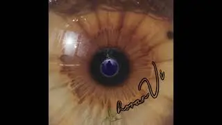 horanVi -  Outside In