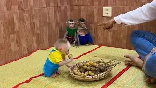 Mommy Anqri Mado Mario Un0bedient Unlik3 Clever PorPor
