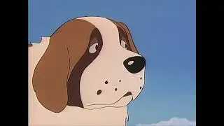 RASCAL THE RACOON || EP 1 || ENGLISH SUB