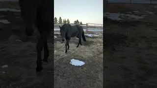 It's also time for winter horse training